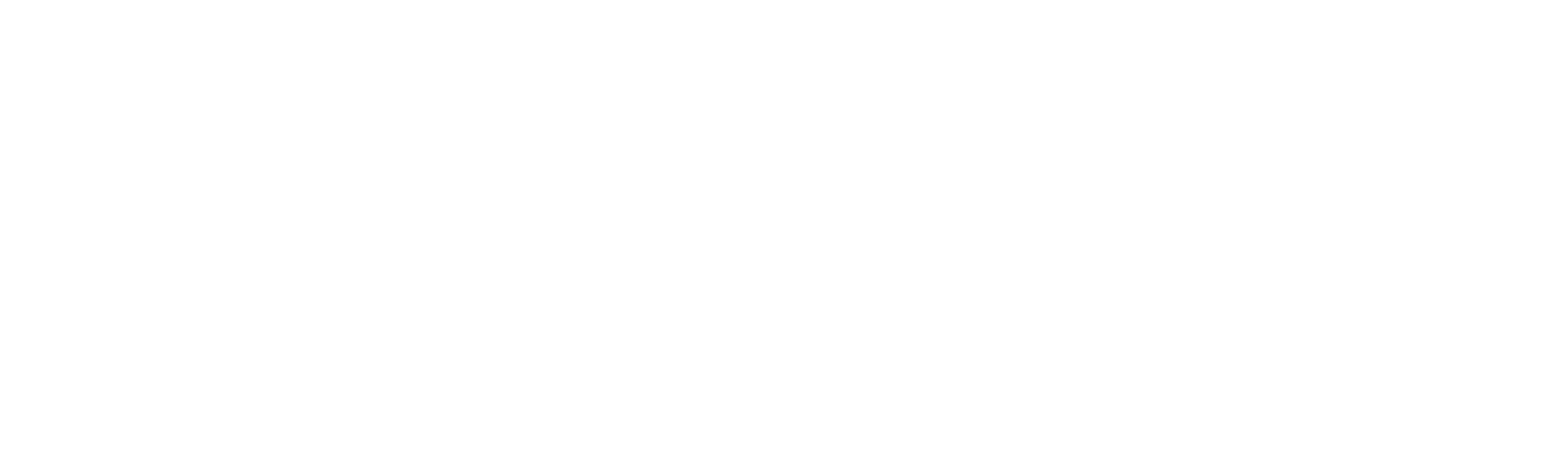 会社概要-ライズ・テクノ